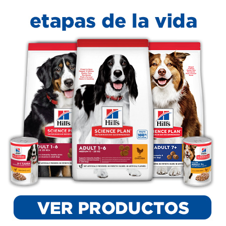 Un alimento adecuado de Hill's Science Plan para cada etapa de vida de tu perro