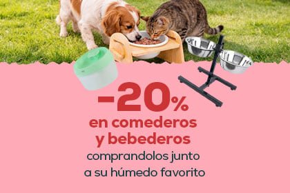 Banner Arenas Gato