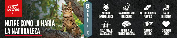 Banner promocional