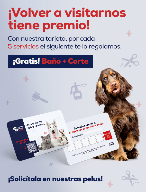 Pelazo asegurado